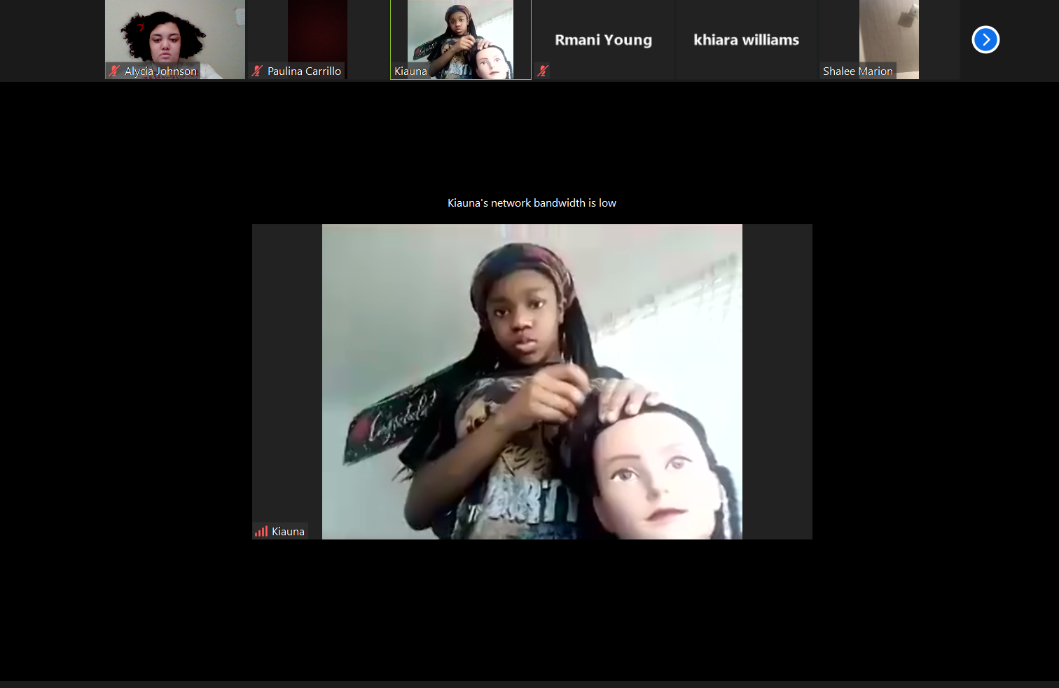 Virtual Hair Braiding Classes.png